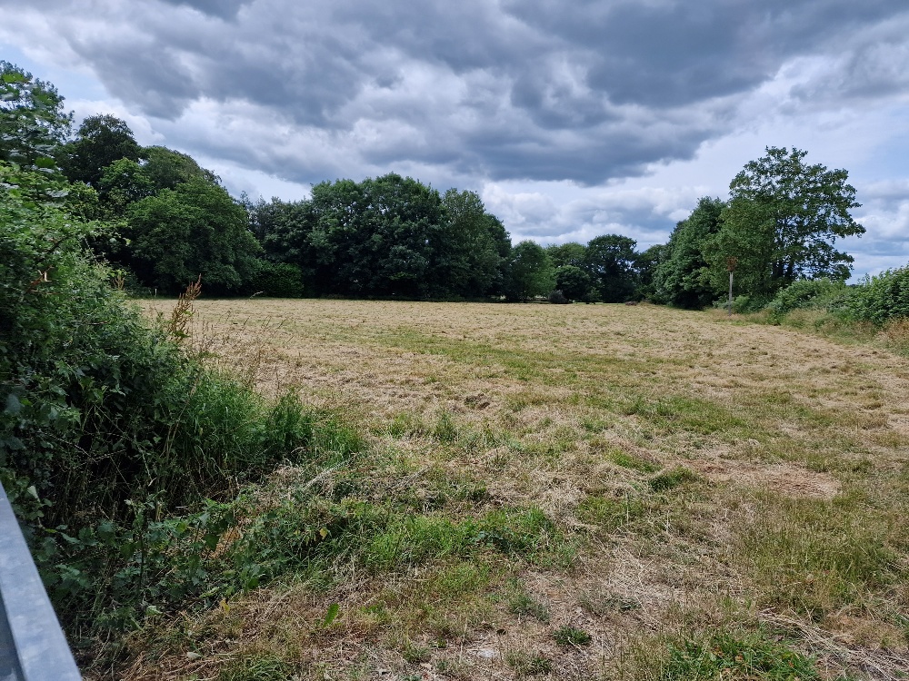 glebe field 